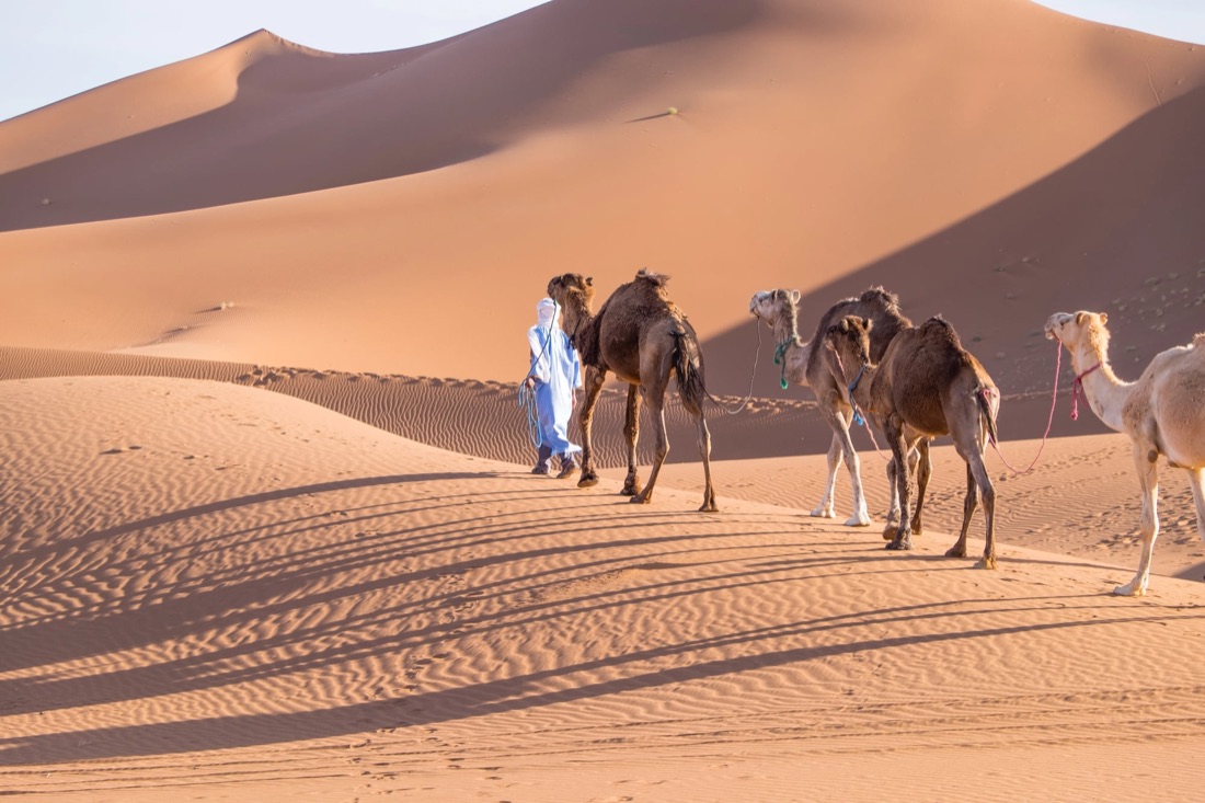 Erg Chigaga desert stage